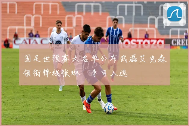 国足世预赛大名单公布武磊艾克森领衔锋线张琳芃李可入选