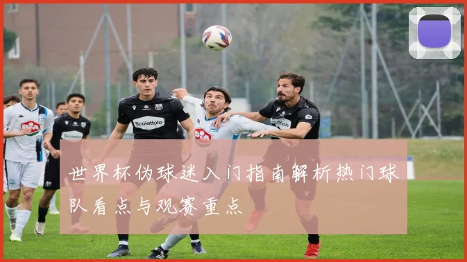 世界杯伪球迷入门指南解析热门球队看点与观赛重点