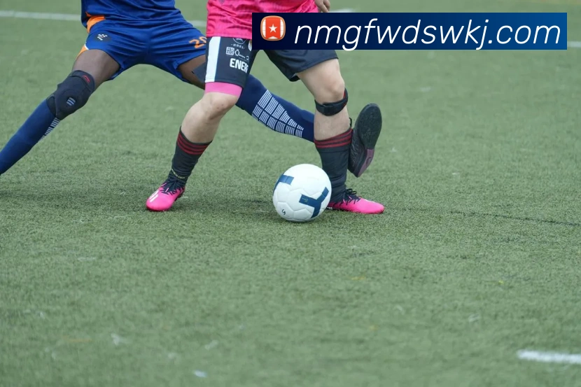 多媒体互动体验